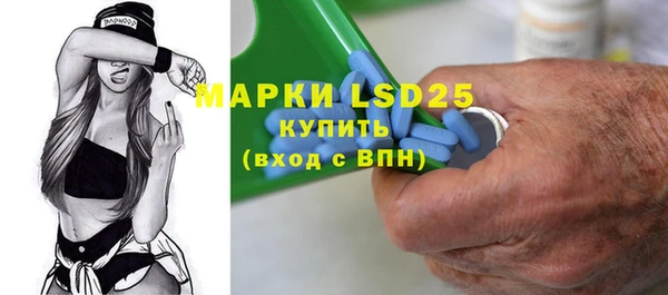 трава Корсаков