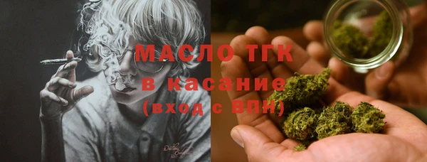 трава Корсаков