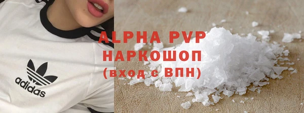 трава Корсаков