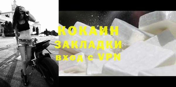 трава Корсаков