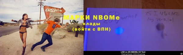 трава Корсаков