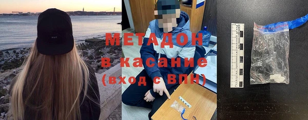 трава Корсаков